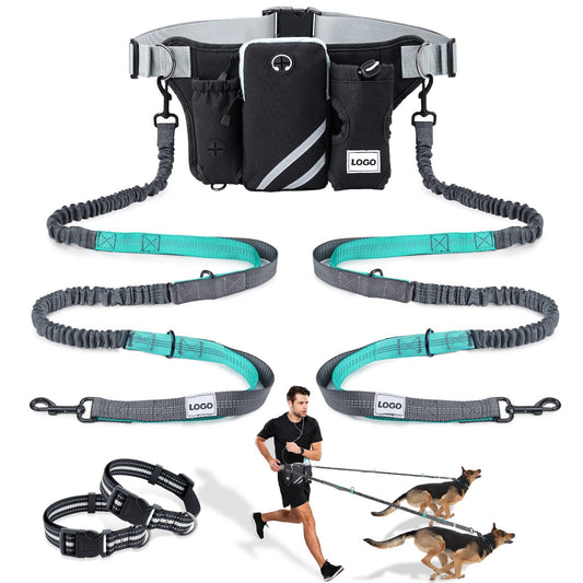 Dog Leash and Waist Bag