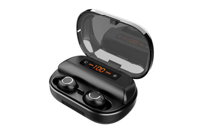 Portable wireless earphones
