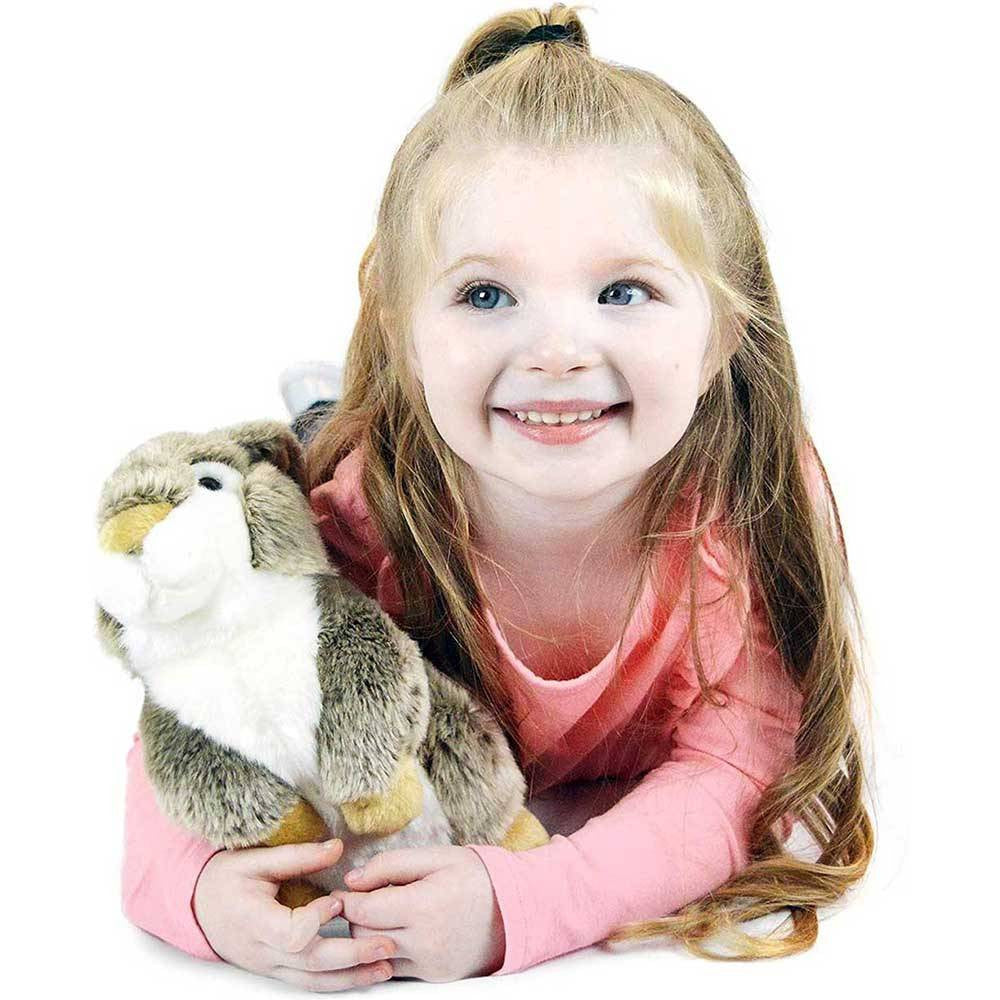 Viahart Tiger Tale Toys Robin the Big Cheek Rabbit 10 Inch Stuffed